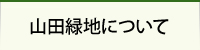 山田緑地について