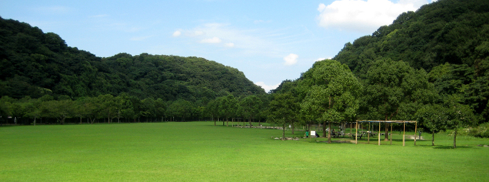 山田 緑地