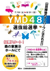 YMD48ポスター開催中 YMD48ポスター開催中