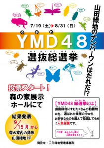 YMD４８ポスター開催中