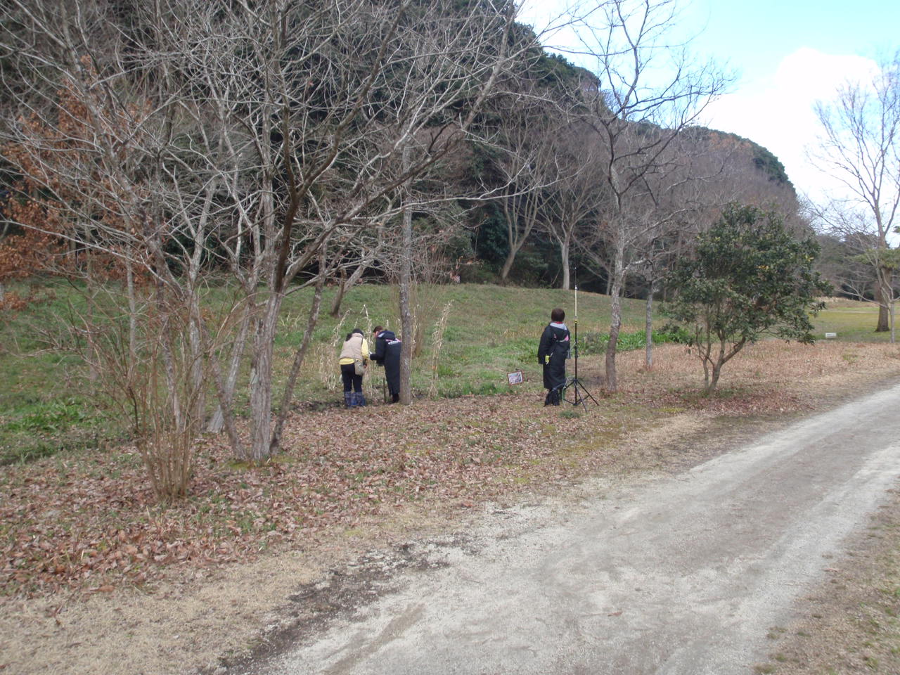 緑地 山田