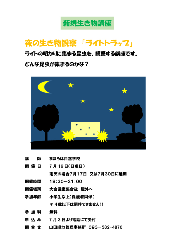 夜の生き物観察7月