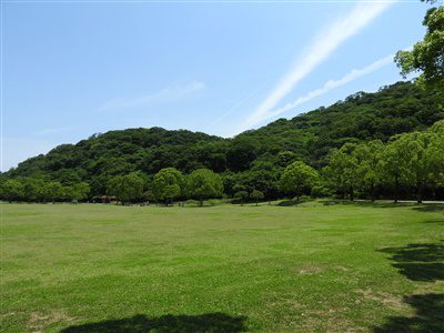 山田緑地