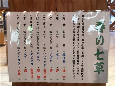 春の七草4